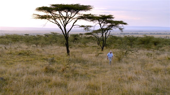 David Attenborough: A Life on Our Planet (Netflix) Photo 4 - Large