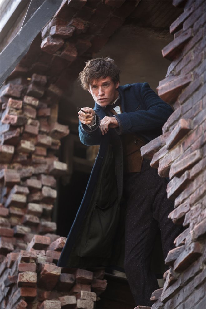 Fantastic Beasts and Where to Find Them Photo 59 - Large