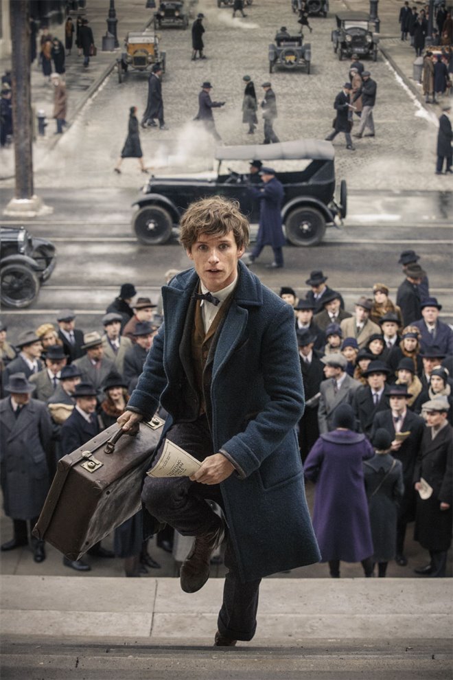 Fantastic Beasts and Where to Find Them Photo 60 - Large