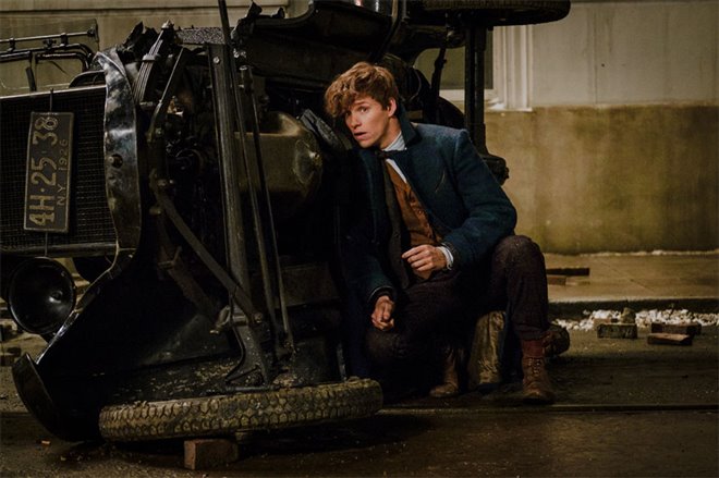 Fantastic Beasts and Where to Find Them Photo 13 - Large