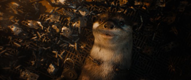 Guardians of the Galaxy Vol. 3 Photo 25 - Large