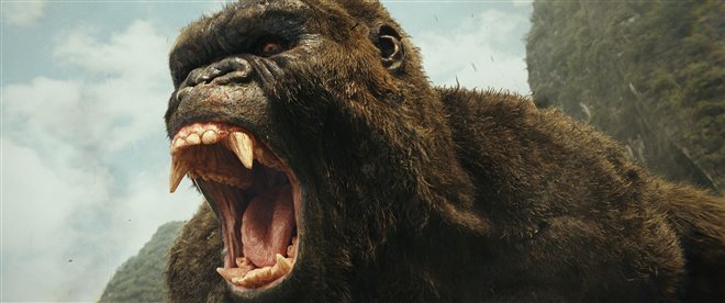 Kong : Skull Island (v.f.) Photo 7 - Grande