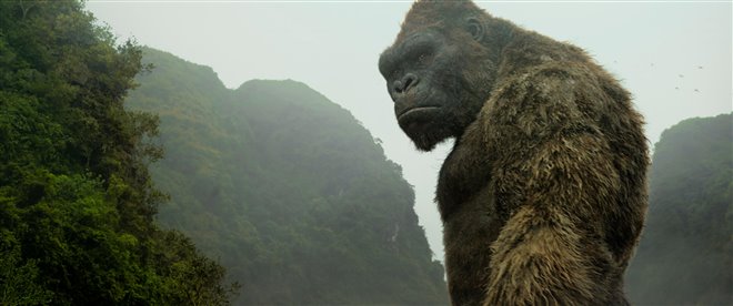 Kong : Skull Island (v.f.) Photo 15 - Grande