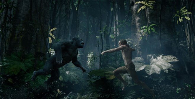 La légende de Tarzan Photo 28 - Grande