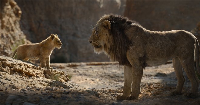 Le roi lion Photo 27 - Grande