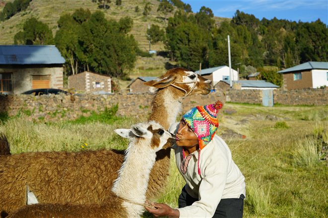 Les Aventuriers Voyageurs : Pérou - En humour Photo 2 - Grande