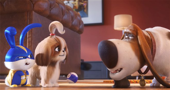 The Secret Life of Pets 2 Photo 19 - Large