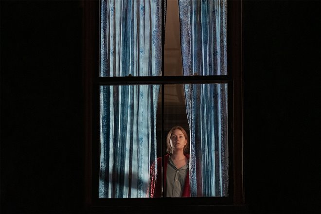 The Woman in the Window (Netflix) Photo 2 - Large