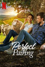 A Perfect Pairing (Netflix) Poster