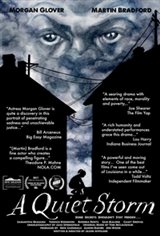 A Quiet Storm (2016) Movie Poster