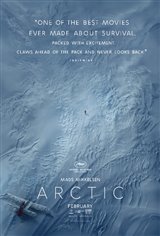 Arctic Movie Poster