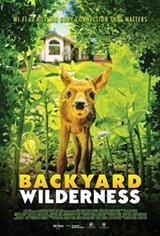 Backyard Wilderness 3D Affiche de film