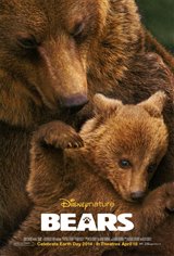 Bears Affiche de film