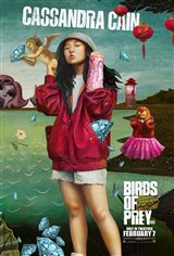 Birds of Prey Poster