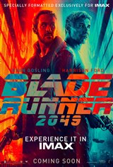 Blade Runner 2049: An IMAX 3D Experience Affiche de film