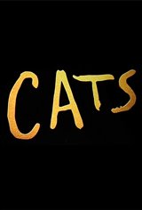 Cats Poster