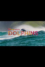 Dolphins Affiche de film