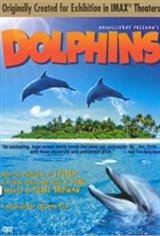 Dolphins (2000) Movie Poster