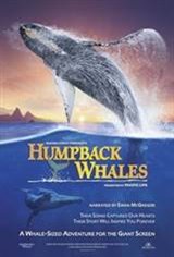 Humpback Whales 3D Movie Poster