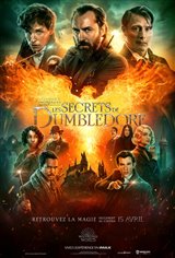 Les animaux fantastiques : Les secrets de Dumbledore Affiche de film