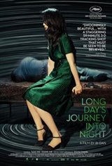 Long Day's Journey Into Night 3D Movie Poster