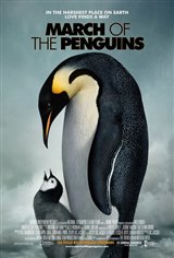 March of the Penguins Movie Poster Movie Poster