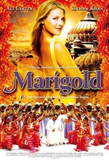 Marigold Poster