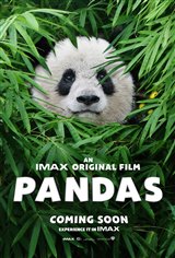 Pandas Poster