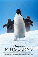 Pingouins Affiche de film
