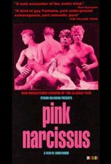 Pink Narcissus Poster