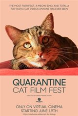 Quarantine Cat Film Festival Movie Poster
