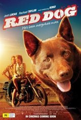 Red Dog Affiche de film