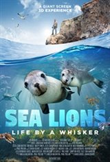 Sea Lions: Life by a Whisker Large Poster