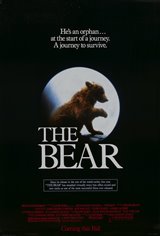 The Bear Affiche de film