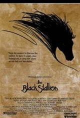 The Black Stallion Affiche de film