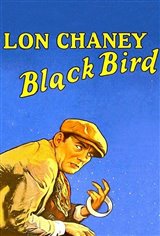 The Blackbird Movie Poster