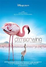 The Crimson Wing: Mystery of the Flamingos Movie Poster