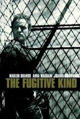 The Fugitive Kind Affiche de film
