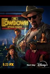 The Lowdown poster