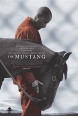 The Mustang Affiche de film