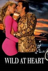 Wild at Heart Affiche de film
