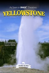 Yellowstone Affiche de film