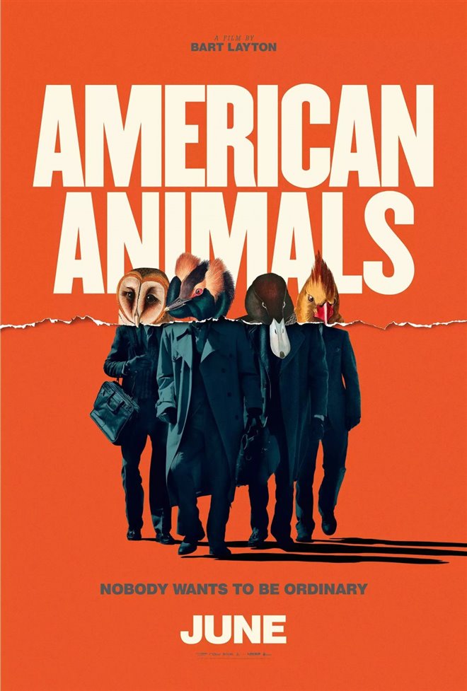 American Animals Large Poster