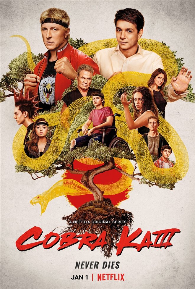 Cobra Kai (Netflix) poster