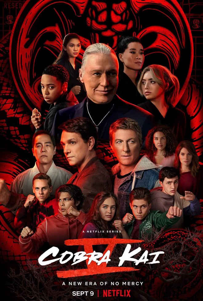 Cobra Kai (Netflix) Poster