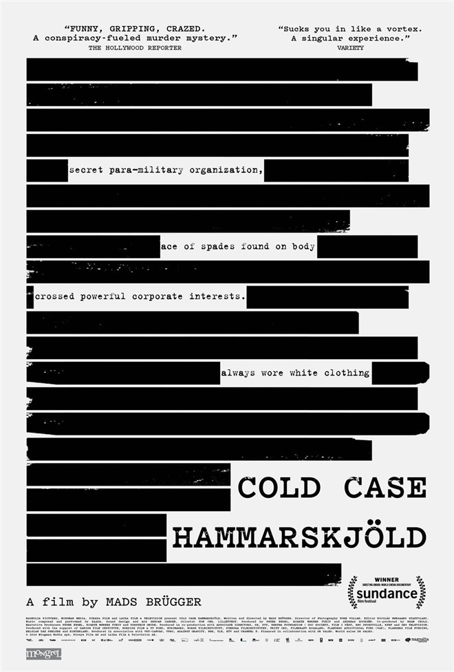Cold Case Hammarskjöld Poster