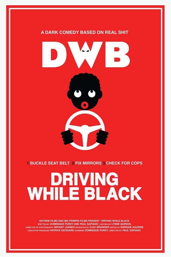 Driving While Black Poster
