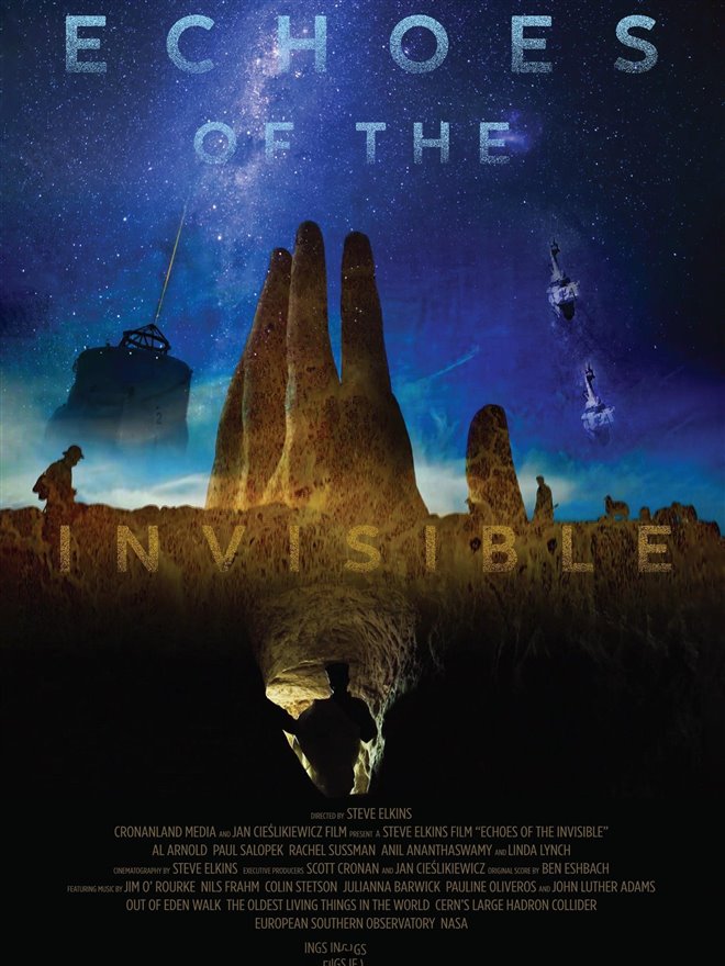 Echoes of the Invisible Large Poster
