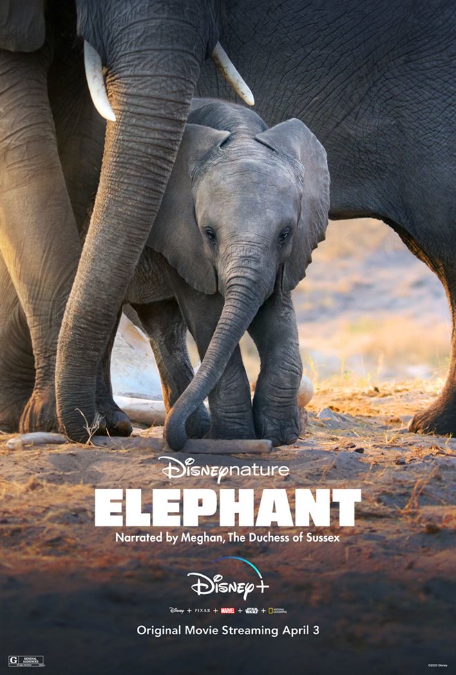 Elephant (Disney+) Poster