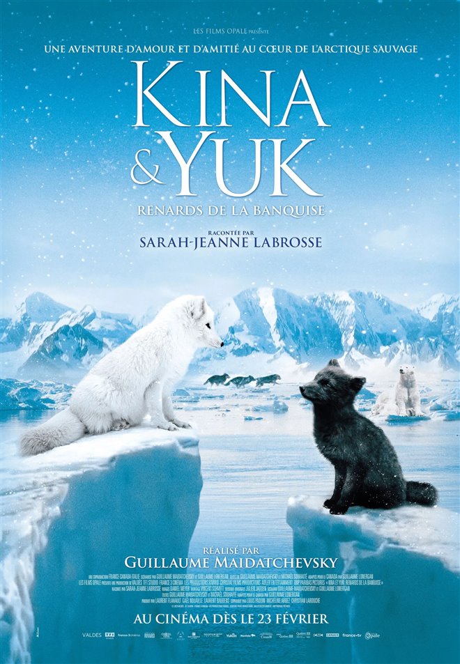 Kina & Yuk : Renards de la banquise (v.o.f.) Poster
